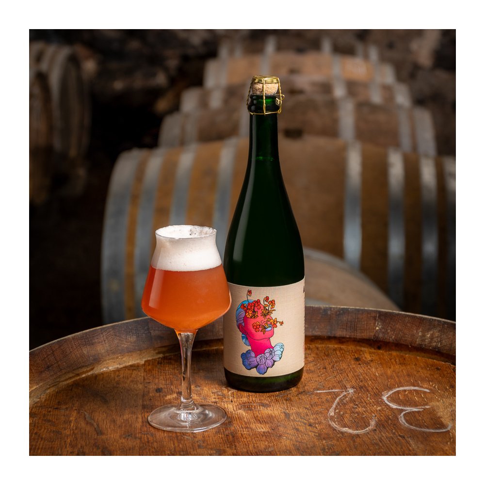 BARRIQUE PROJECT – Wild Saison con bacche di sambuco
