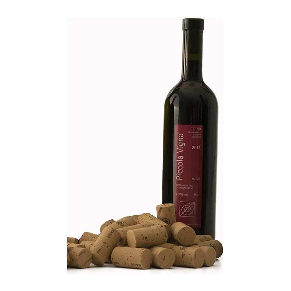 PICCOLA VIGNA MERLOT TICINO DOC – Vino rosso
