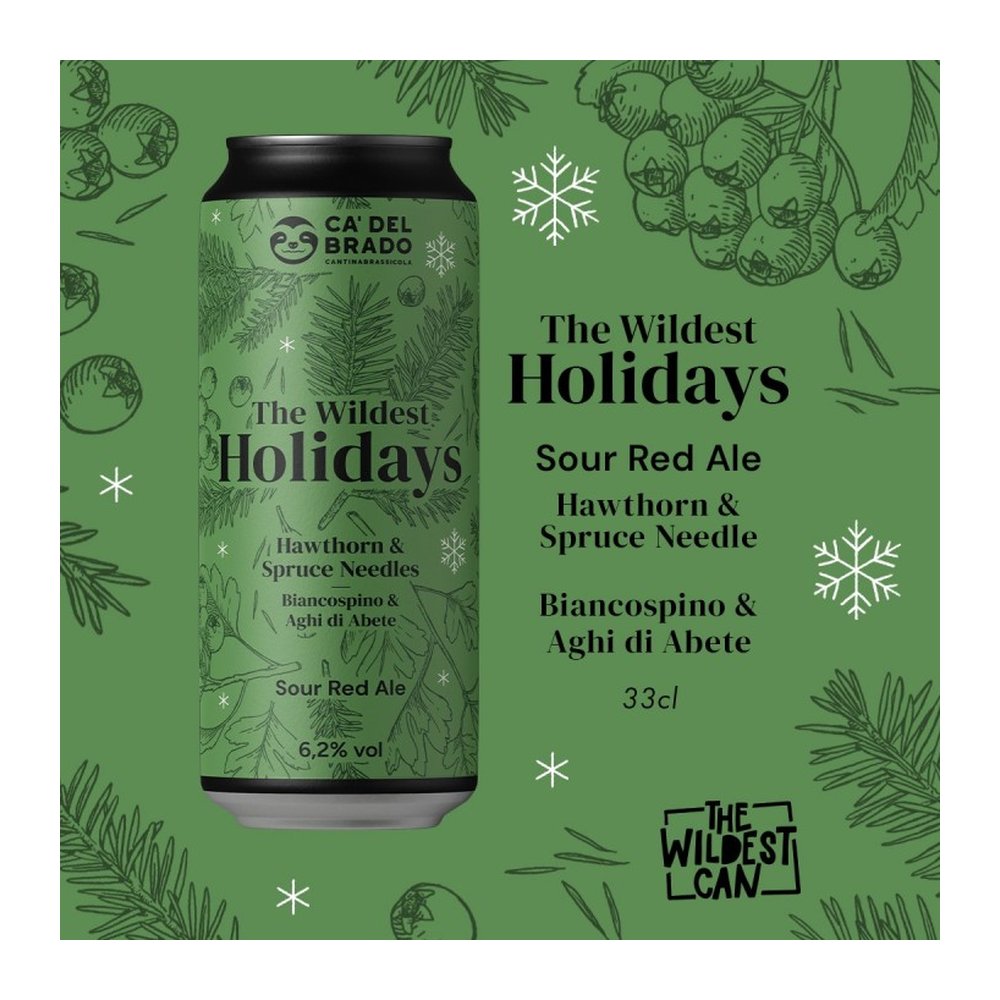 THE WILDEST HOLIDAYS ABETE – Sour Ale