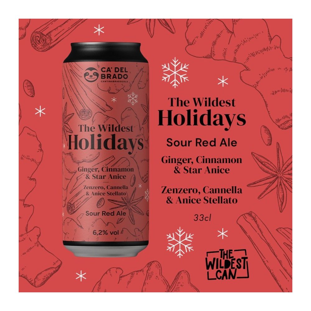THE WILDEST HOLIDAYS CANELLA – Sour Ale