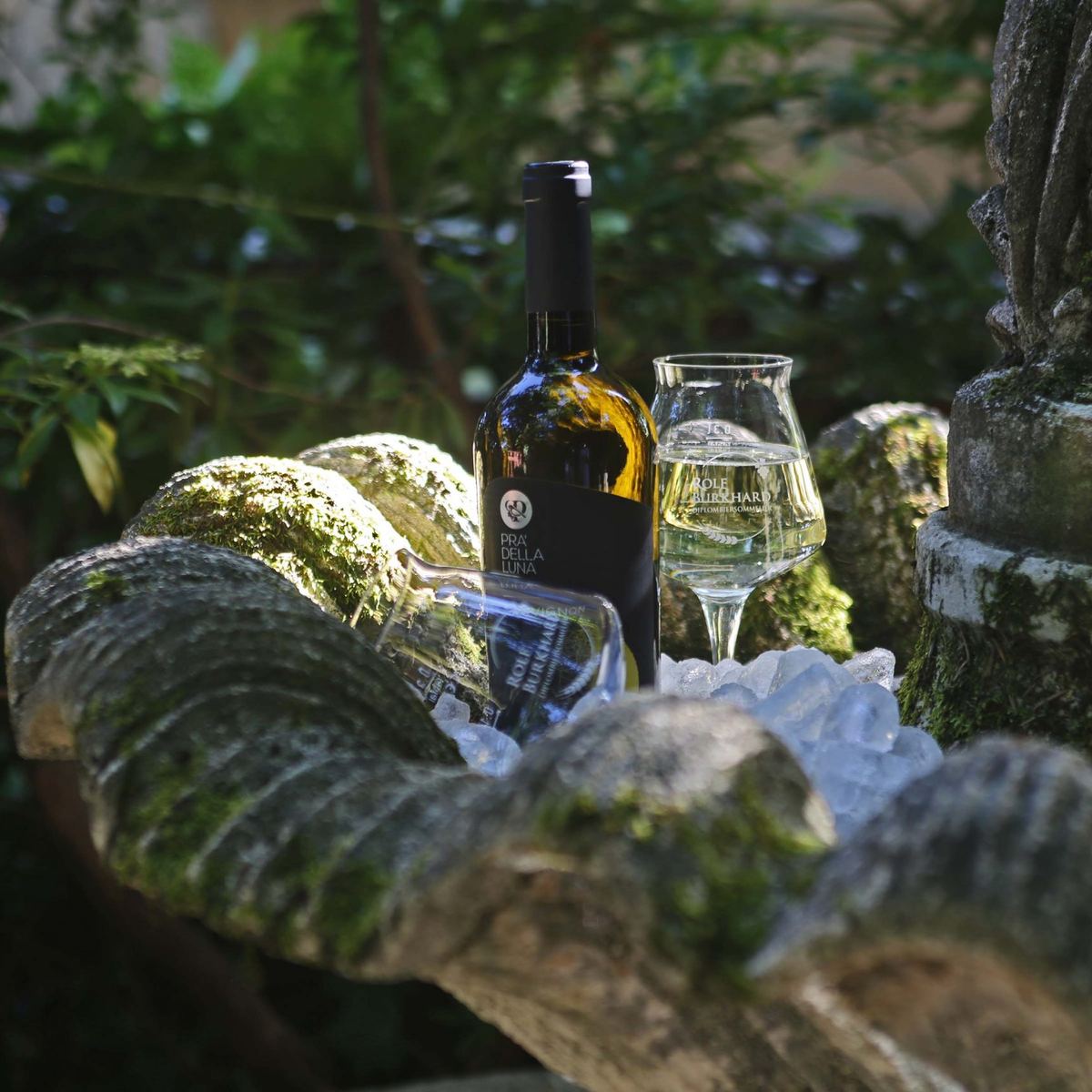 Vini, boutique RolfBurkhard
